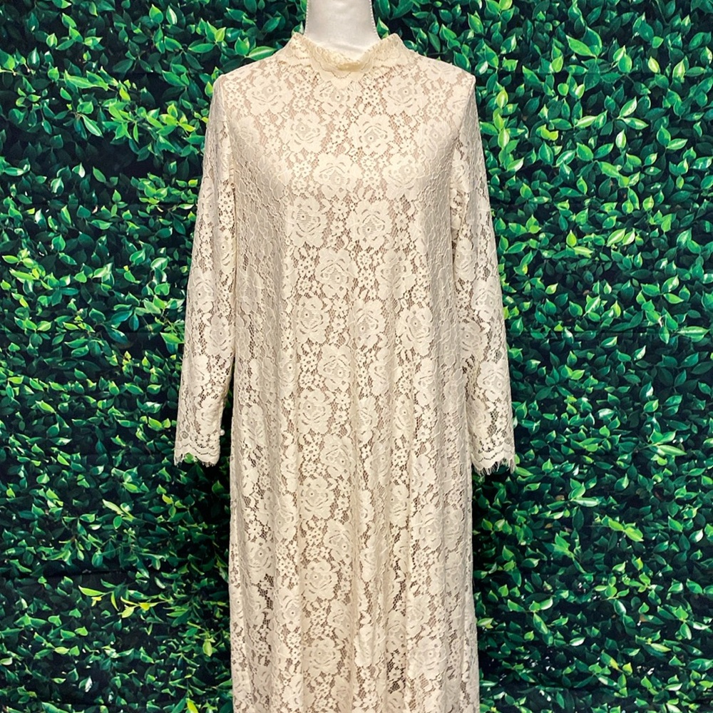Dainty Jewells Elegant Cream Lace Long Sleeve Dress